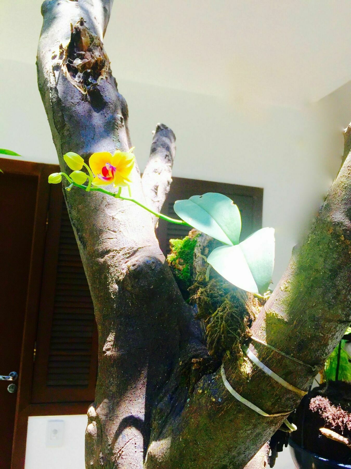 Club Suites - Aeroporto Congonhas Sao Paulo Dış mekan fotoğraf